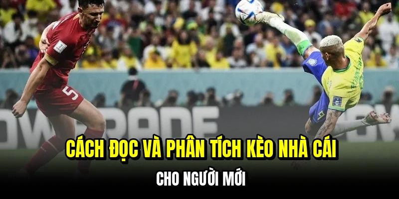 Cách đọc và phân tích kèo nhà cái cho người mới
