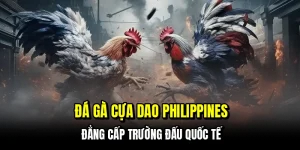 Đá gà cựa dao Philippines - Đẳng cấp trường đấu quốc tế