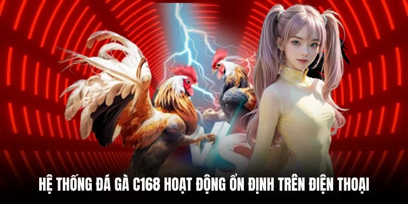 Hệ thống Đá Gà C168 hoạt động ổn định trên điện thoại