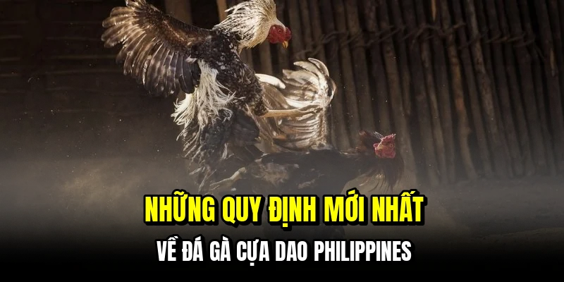 Những quy định mới nhất về đá gà cựa dao Philippines
